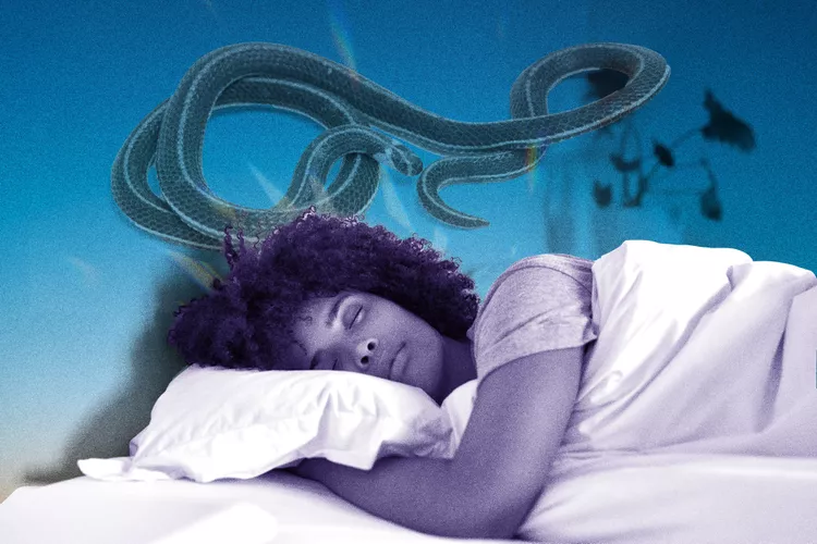 sonhar com cobras